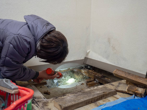Best Biohazard Mold Removal  in Lake Hamilton, AR