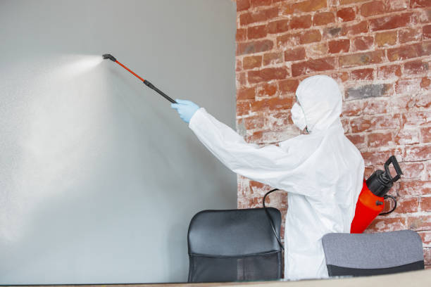 Best Mold-Related Health Consultation  in Lake Hamilton, AR