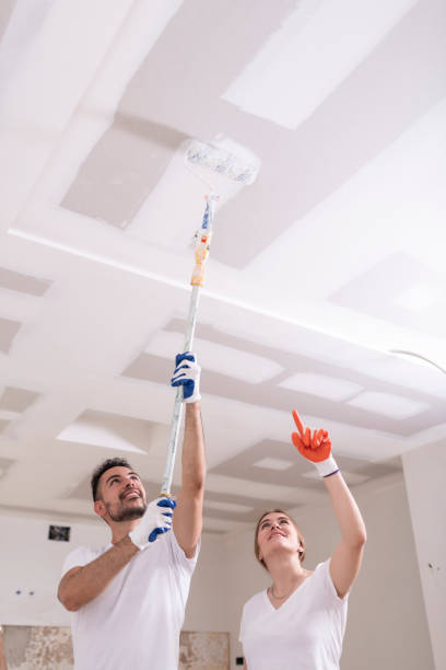Best Asbestos and Lead Testing During Mold Inspection  in Lake Hamilton, AR