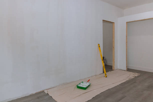 Best Asbestos and Lead Testing During Mold Inspection  in Lake Hamilton, AR