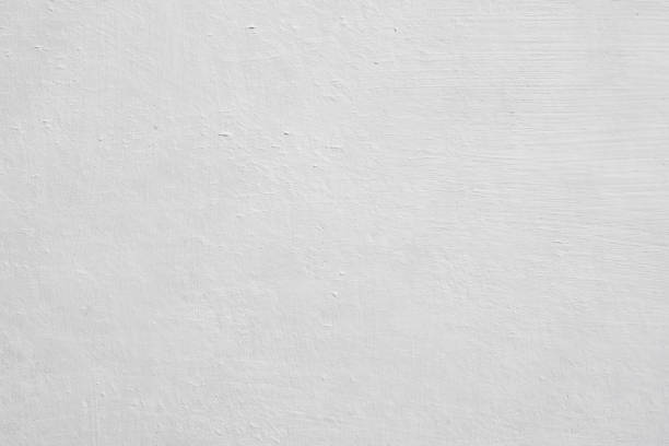 Best Basement Mold Removal  in Lake Hamilton, AR