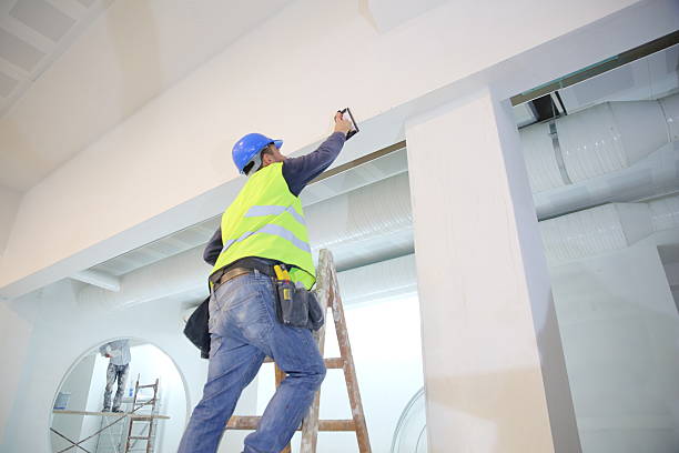 Best Environmental Consulting for Mold Prevention  in Lake Hamilton, AR