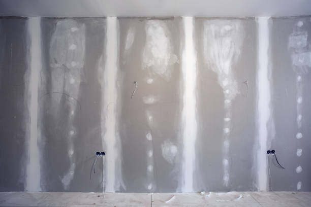 Professional Mold Removal in Lake Hamilton, AR